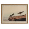 Hill Interiors Hill Interiors Flora & Fauna  Stints In Beaded Frame