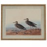Hill Interiors Hill Interiors Flora & Fauna Sandpiper In Beaded Frame