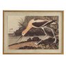 Hill Interiors Hill Interiors Flora & Fauna Avocet In Beaded Frame