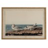 Hill Interiors Hill Interiors Flora & Fauna  Plovers In Beaded Frame