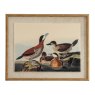 Hill Interiors Hill Interiors Flora & Fauna Ducks On Linen In Beaded Frame
