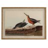 Hill Interiors Hill Interiors Flora & Fauna Snipes In Beaded Frame