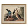 Hill Interiors Hill Interiors Flora & Fauna Mallards In Beaded Frame