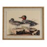 Hill Interiors Hill Interiors Flora & Fauna Teals On Linen In Beaded Frame