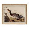 Hill Interiors Hill Interiors Flora & Fauna Duck On Linen In Beaded Frame