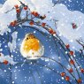 Otter House Otter House Winter Robins Xmas Cards Bumper Box