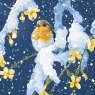 Otter House Otter House Winter Robins Xmas Cards Bumper Box