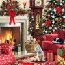 Otter House Otter House It's Warm Inside Xmas Cards Bumper Box