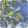 Otter House Otter House RSPB Snowy Spruce Large Xmas Cards
