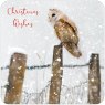 Otter House Otter House RSPB Watching & Waiting Large Xmas Cards