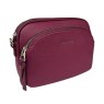 David Jones Mulberry Twin Pocket Crossbody Bag Angled View