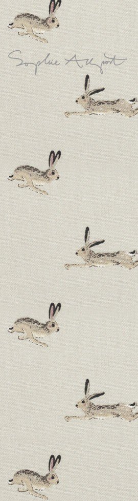 Sophie allport Hare