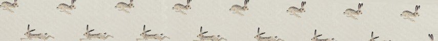 Sophie Allport Hares