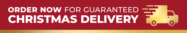 In time for Xmas Delivery
