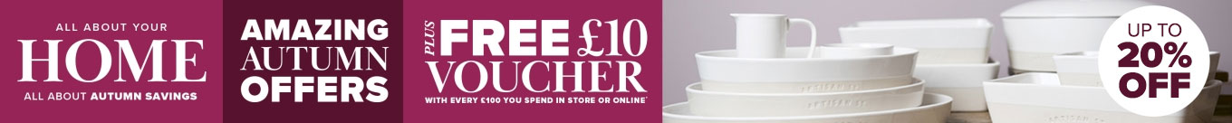 Dinnerware 30 off banner