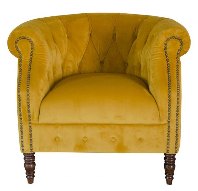 Alexander and james jude chair in tumeric